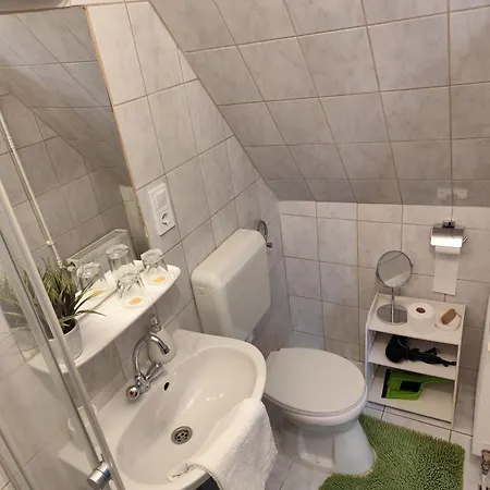 Guest house Bazilika Vendeghaz 3*